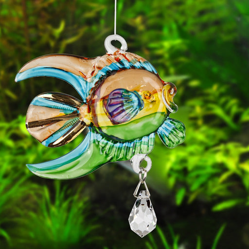 Fantasy Glass Coral Fish, Tropical
