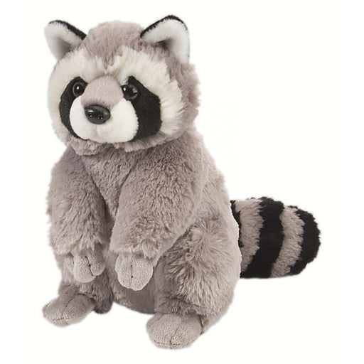 Raccoon 12 inch