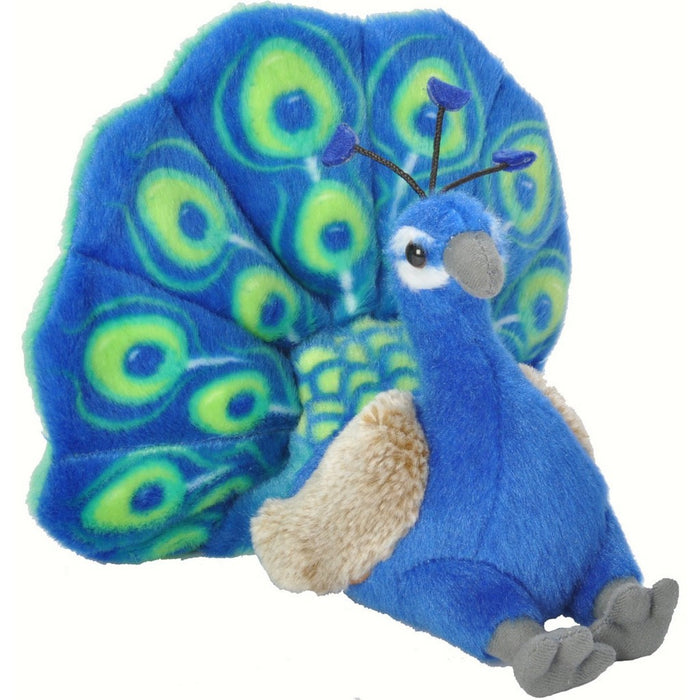 Peacock 8 inch