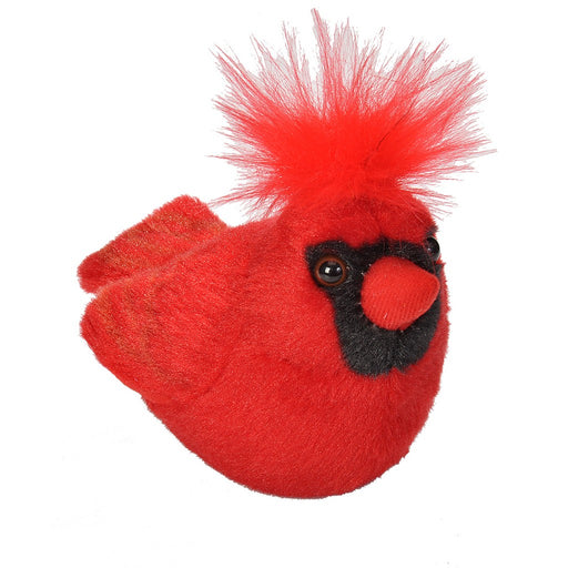 Cardinal