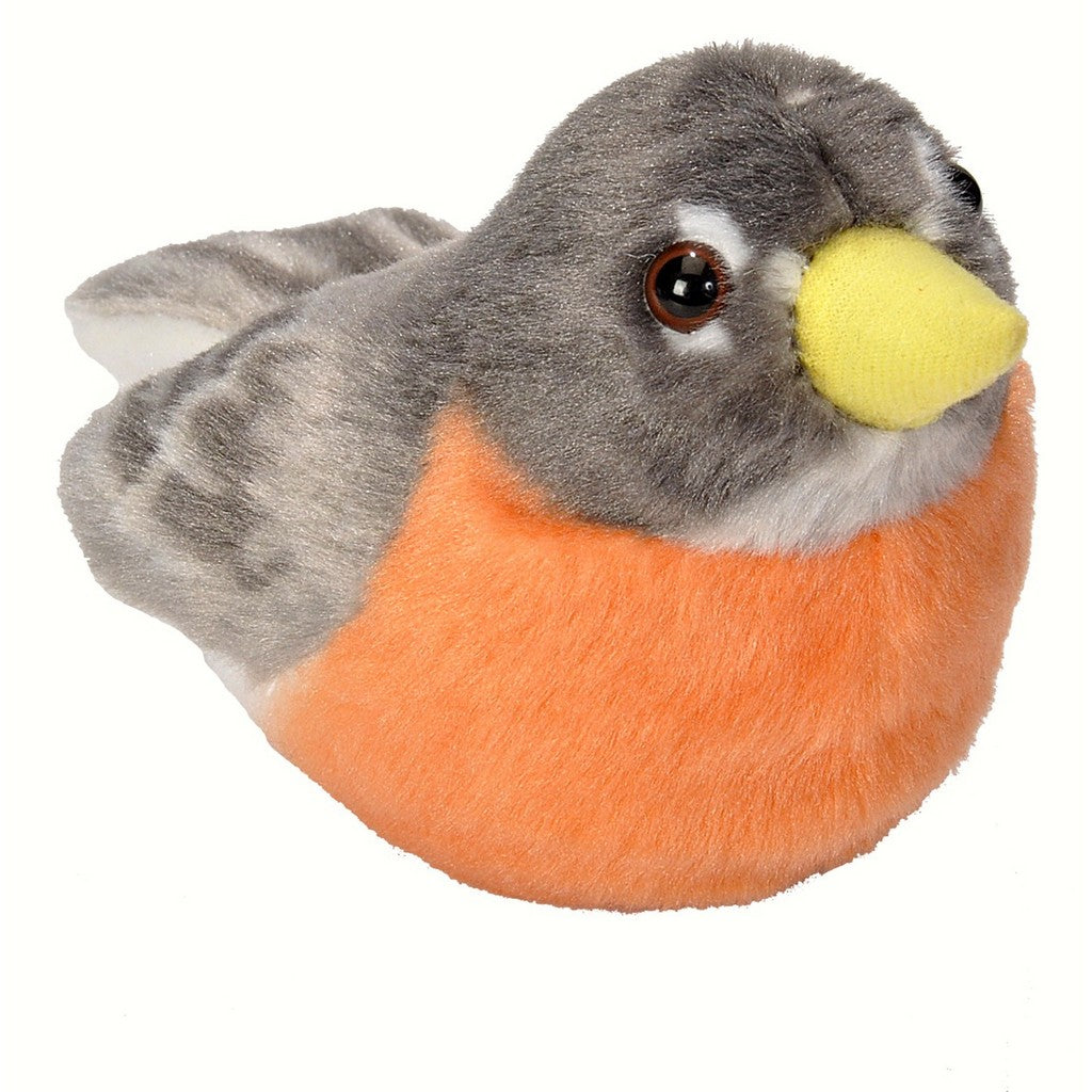 Robin — Parrotcha