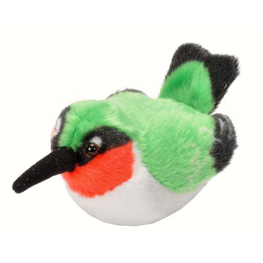 Ruby-throated Hummingbird