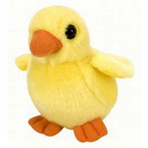 Baby Chick
