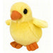 Baby Chick